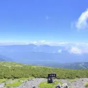 HARUの画像