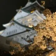 こーの画像