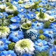 kaanの画像
