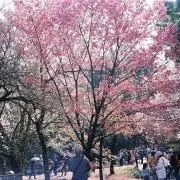 OOO *.プロフ確認推薦.*値下げ可能の画像