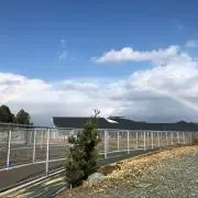 でんこの画像
