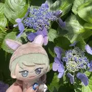 ちぃの画像
