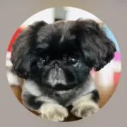 らぶの画像