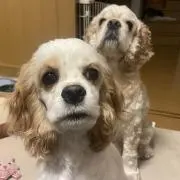 HANA to MITSU