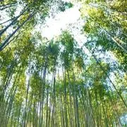 ちーみーままの画像