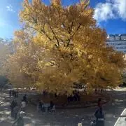 under Karenの画像