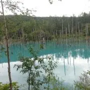 太郎丸の画像