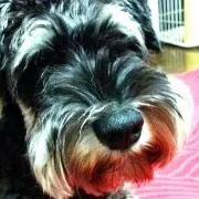 ともえ☆プロフィール必ずお読みください！