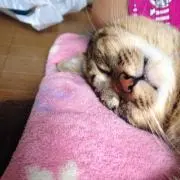 maryの画像