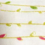 まゆこの画像