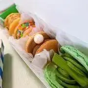 NNの画像