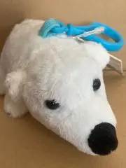シンガポールベアの画像