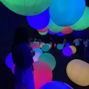 ももの画像