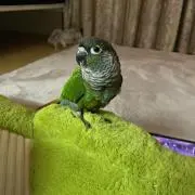 マドルディ❤︎（プロフ読んでください）の画像