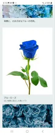 Blue Roseの画像