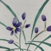 yuyuの画像