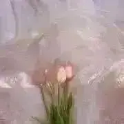 ーの画像