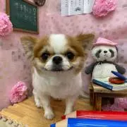 勝ちゃん