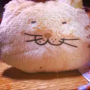 にゃんこ