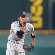 猛虎七武海