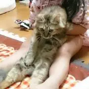 ふみ