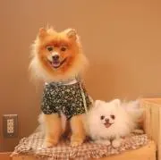 ⭐︎⭐︎あい⭐︎⭐︎