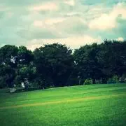 cococoの画像