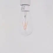 Uricariの画像