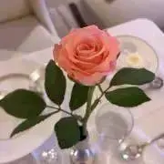 ぴあんの画像