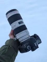 みのわの画像