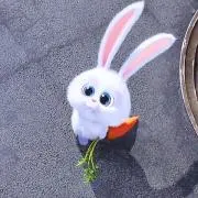 みの画像