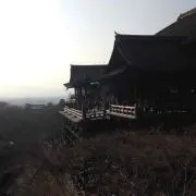 山岡福