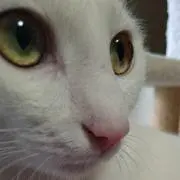 kikijoroの画像