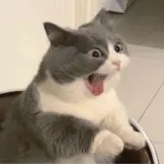 emmaの画像