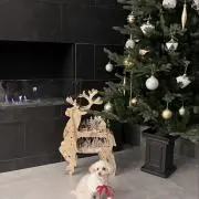 niniの画像