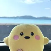 サキュにゃんの画像
