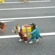 ペネロペ
