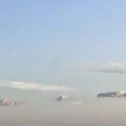 スズキの画像