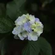 りの画像