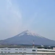 てんの画像