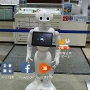 ペッパーの画像