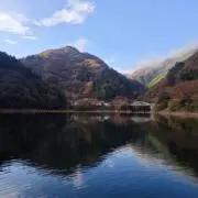 TPC 値下げ交渉歓迎の画像