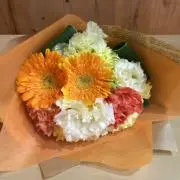 Ncarrienの画像
