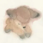断捨離中の画像