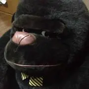 ライオネル親方 10%は取りすぎ