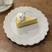 ペンギンの画像