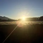 ヨーゼフの画像