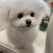 runarunaの画像