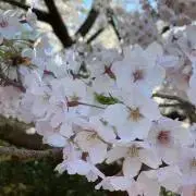 セレクトの画像