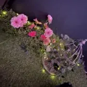十三条の画像